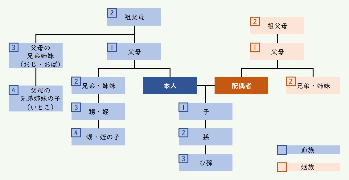 shinnzokhyou2
